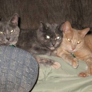 Meet your Posher, Molly